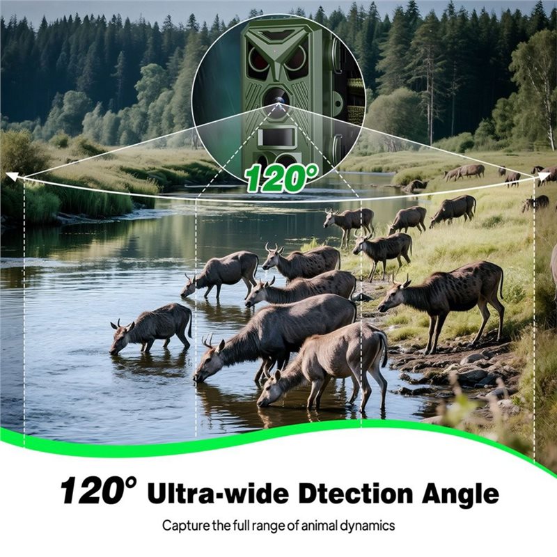 BTLIFE-Wildlife Surveillance 1 - Hunting Outdoor Camera review and price