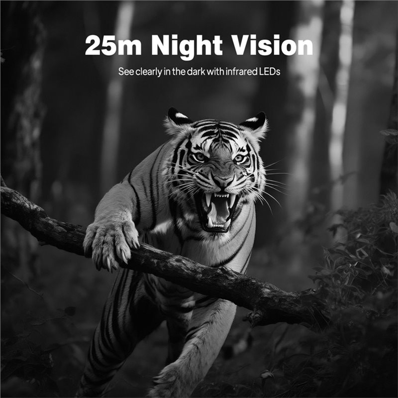 BTLIFE-Wildlife Surveillance 1 - Hunting Outdoor Camera review and price