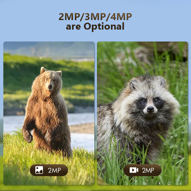 4G 4MP Outdoor Wildlife Huntin - Outdoor Hunting Camera Wifi review and price