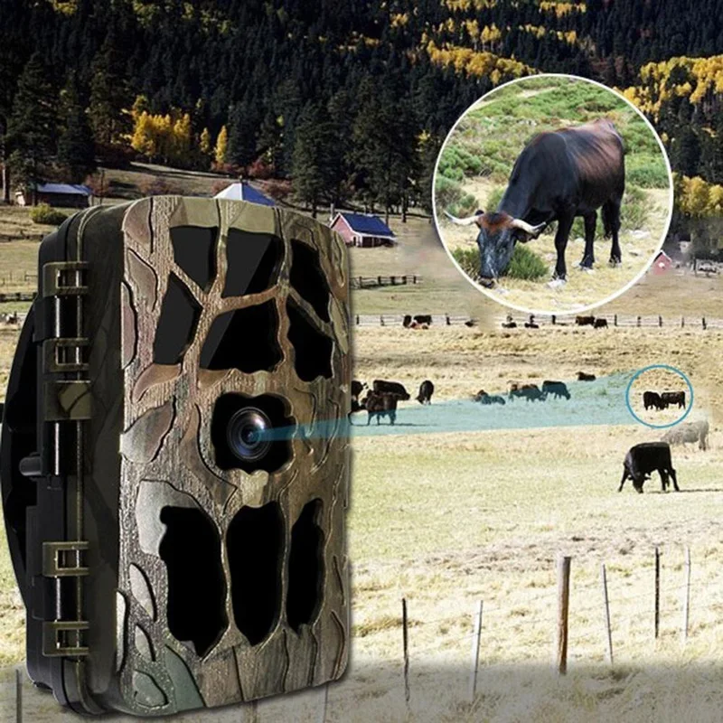 H982 IP66 Waterproof 4K Outdoo - Hunting Outdoor Camera review and price