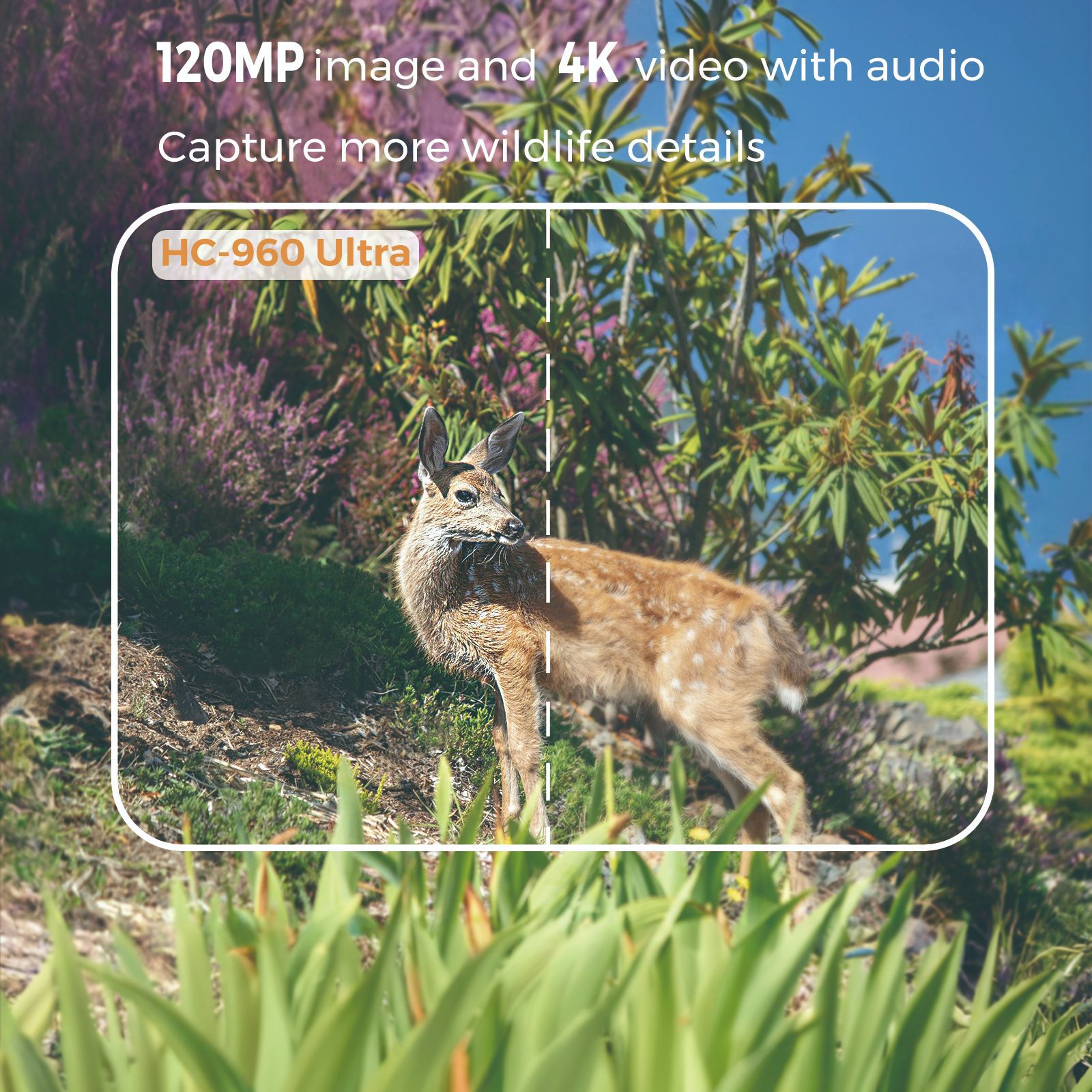 4G outdoor wildlife infrared c - Hunting Outdoor Camera review and price